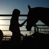 horse and girl silhouette