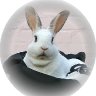 Rabbit in hat