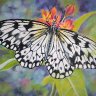Butterfly on flower