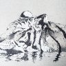 Tiger sketch