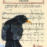 Christmas Card Blackbird