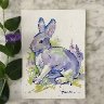 Cottontail Rabbit
