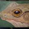 Eye of the Frog