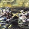 Two Frogs in a Bog