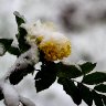 Winter is back