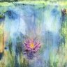 Waterlilies