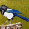 Magpie