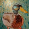 Water off a duck's back