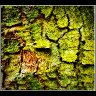 Rich Detail