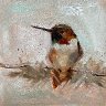Ruby Throat Two