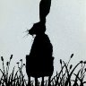 Hare silhouette
