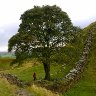 Sycamore Gap, Hadrian's Wall 