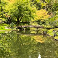 Autumn at Nitobe.jpg