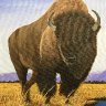 The Mighty Bison