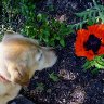 Take Time to Smell the Flowers
