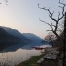 Stillness 