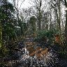 Puddlepath 2.
