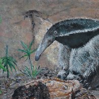 14x24 oils giant anteater len swansom pmp.JPG