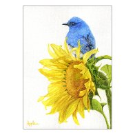 WesternBluebird&SunflowerETSY.jpg