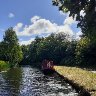 Pink Barge