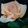 IMG_20240807_214048