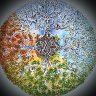 Circle of Seasons