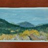 Summer Mountain Landscape