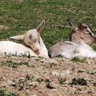 KIds Enjoying The Spring Sun.jpg