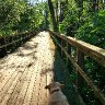 Walk in the Wetlands