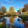 Technicolor Autumn