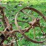 Rusty Plough Wheel (Arboretum Volčji Potok, Slovenia)