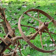 Rusty Plough Wheel (Arboretum Volčji Potok, Slovenia) res.jpg