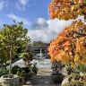 Autumn colours