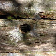 KnotHole.jpg