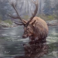 elk.jpg