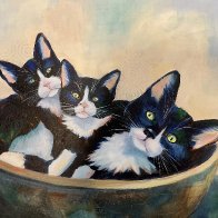 CatsKittens in Bowl.jpg