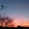 Sunrise Germany
