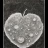 More Drops - Drawing Group