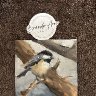 2025 Chickadee No. 2