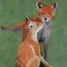 Vixen and cub