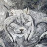 Sleepy Lynx 