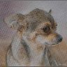 Cleo painted.