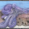 IMG_5231