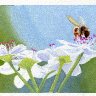Blossoms & Bee