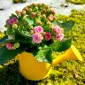 Spring Signs 