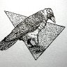 The Crow