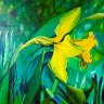 Narcisse Printemps