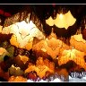 Shades of Lighting