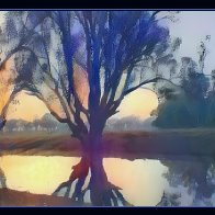 FA9B21B5-88C9-4958-8282-B5C8D7881082.jpeg