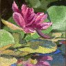 water-lily-my-painting